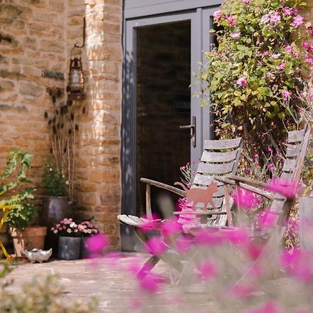 Les Chambres Du Chat Sainte-Cecile ภายนอก รูปภาพ