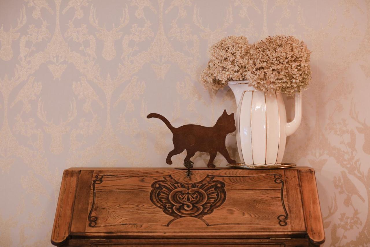 Les Chambres Du Chat Sainte-Cecile ภายนอก รูปภาพ