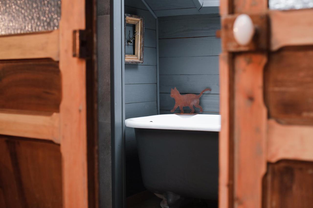 Les Chambres Du Chat Sainte-Cecile ภายนอก รูปภาพ