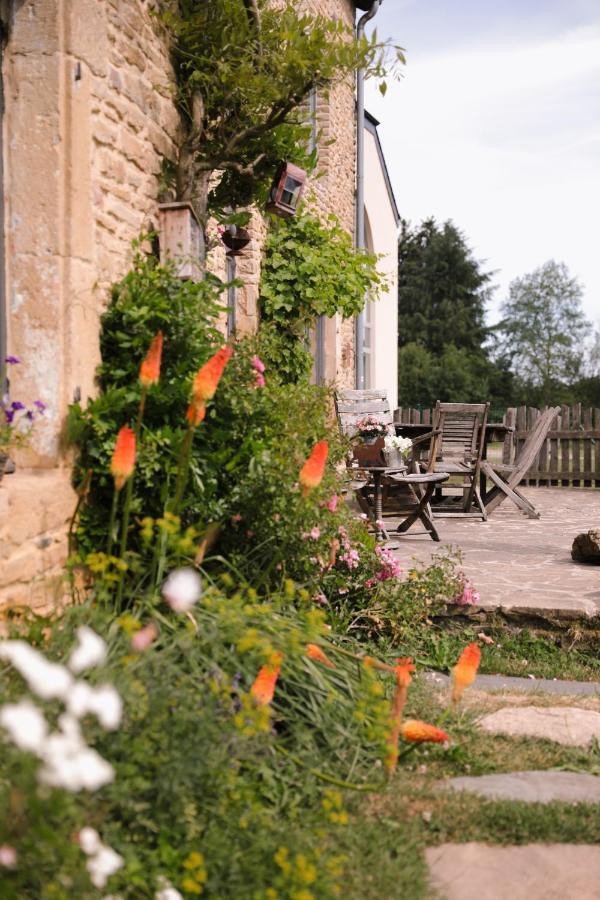 Les Chambres Du Chat Sainte-Cecile ภายนอก รูปภาพ