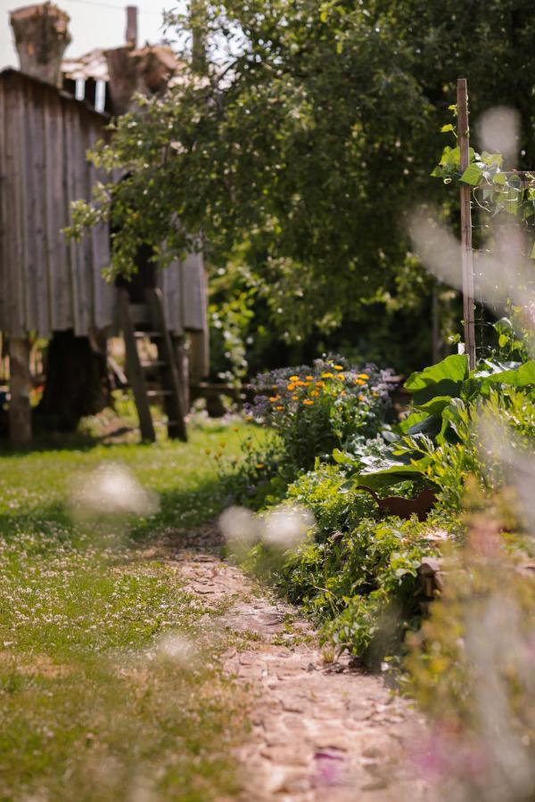 Les Chambres Du Chat Sainte-Cecile ภายนอก รูปภาพ