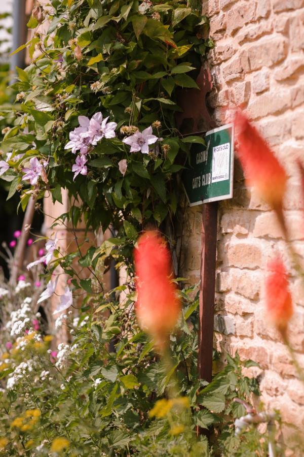 Les Chambres Du Chat Sainte-Cecile ภายนอก รูปภาพ